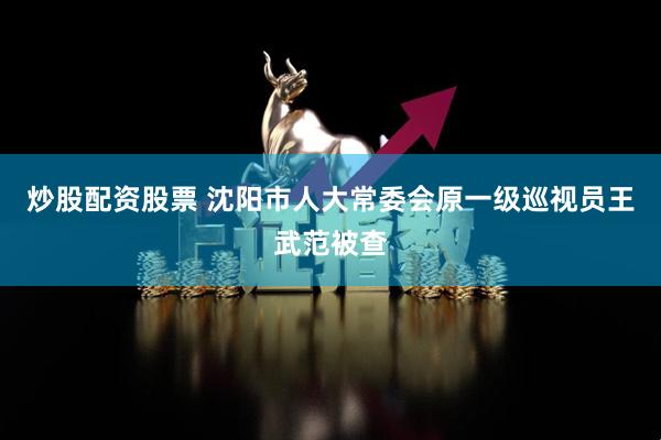 炒股配资股票 沈阳市人大常委会原一级巡视员王武范被查