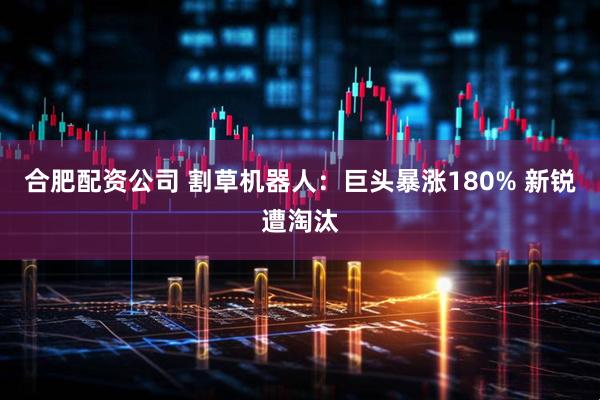 合肥配资公司 割草机器人：巨头暴涨180% 新锐遭淘汰