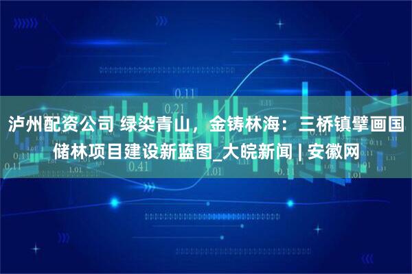 泸州配资公司 绿染青山，金铸林海：三桥镇擘画国储林项目建设新蓝图_大皖新闻 | 安徽网