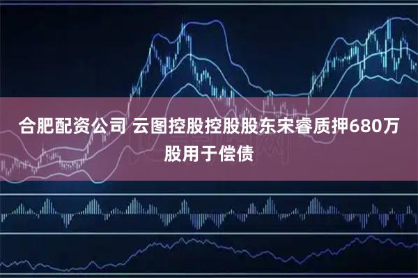 合肥配资公司 云图控股控股股东宋睿质押680万股用于偿债