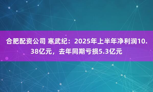合肥配资公司 寒武纪：2025年上半年净利润10.38亿元，去年同期亏损5.3亿元