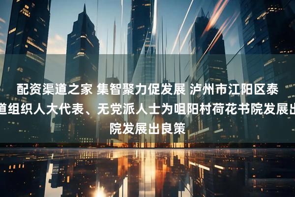 配资渠道之家 集智聚力促发展 泸州市江阳区泰安街道组织人大代表、无党派人士为咀阳村荷花书院发展出良策