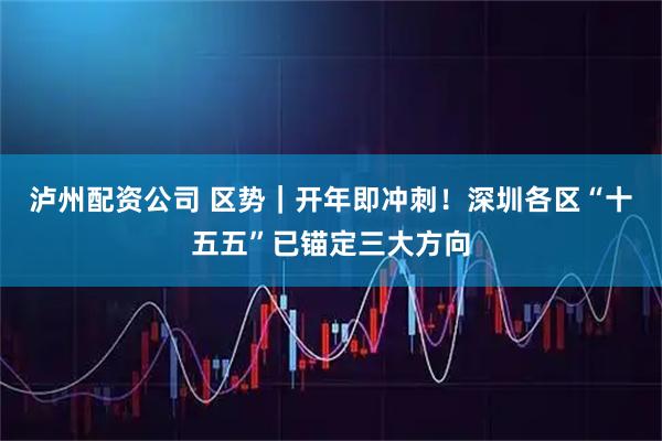 泸州配资公司 区势｜开年即冲刺！深圳各区“十五五”已锚定三大方向